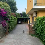 Casa Burano-relax In Terrazza Tra Mare E Natura Apartment Capalbio