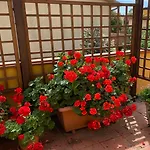 Casa Burano-relax In Terrazza Tra Mare E Natura Apartment Capalbio
