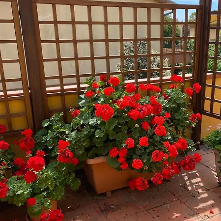 Casa Burano-terrazza Relax Tra Mare E Natura Apartamento Capalbio