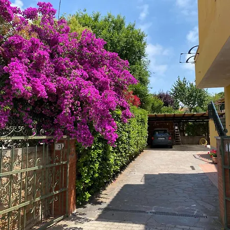 Casa Burano-terrazza Relax Tra Mare E Natura 아파트 까팔비오